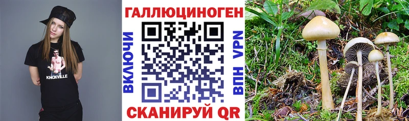 Псилоцибиновые грибы ЛСД  ссылка на мегу как зайти  Малмыж 